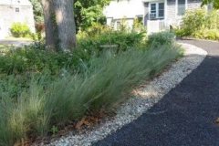 Little-Bluestem-border